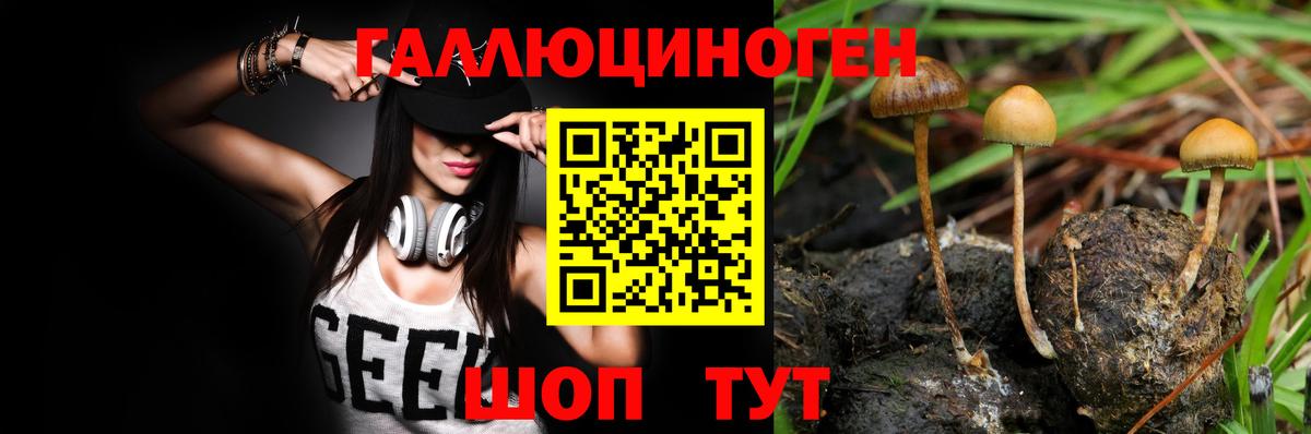 МАРИХУАНА Вышний Волочёк