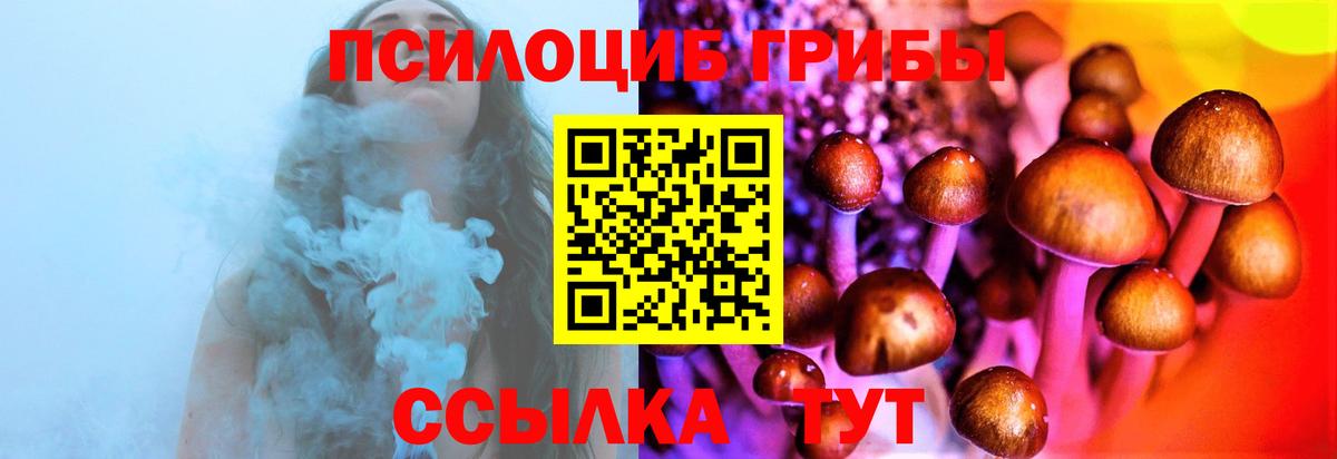 Галлюциногенные грибы ЛСД  купить закладку  Вход с VPN  Вышний Волочёк  Псилоцибиновые грибы Psilocybe 
