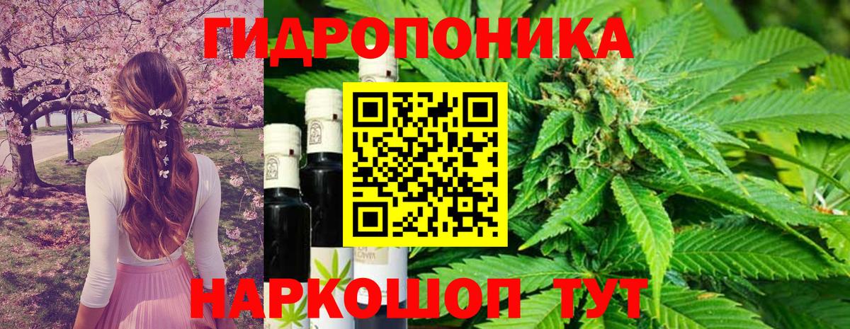 Канабис White Widow  Шишки марихуана VHQ  Вход с VPN  Конопля гибрид  Вышний Волочёк  Бошки марихуана марихуана 